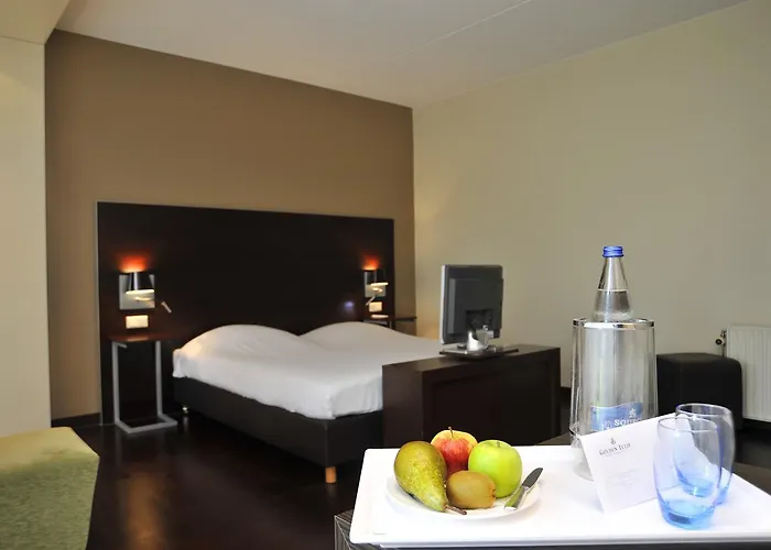 Golden Tulip Ampt 4* 네이케르크